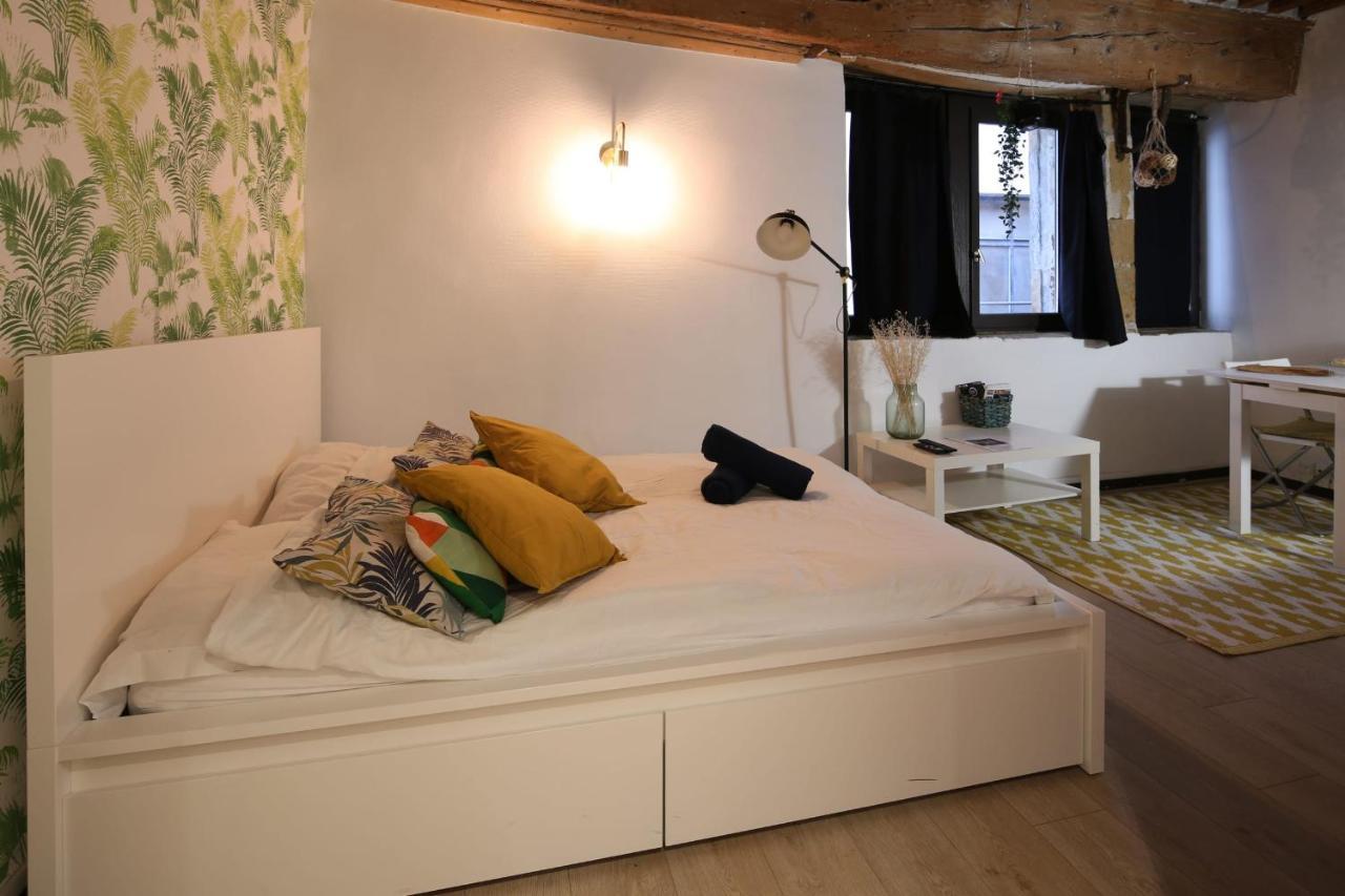 Charming Studio Centre Ville De Lyon Exterior foto