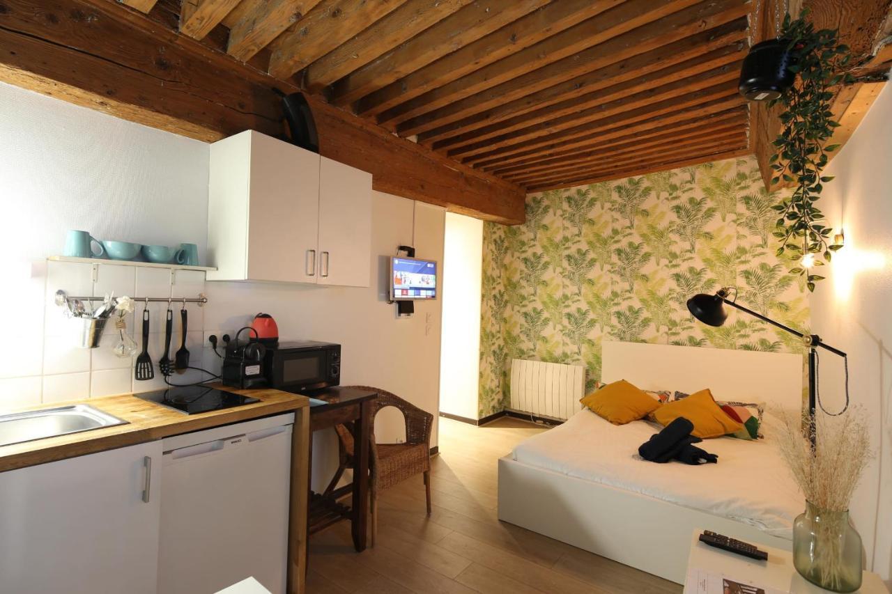 Charming Studio Centre Ville De Lyon Exterior foto
